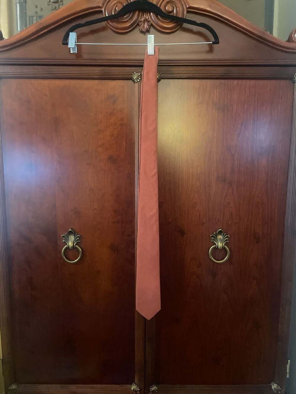 DAZI Cinnamon Rust Solid Skinny Tie with Floral Lining